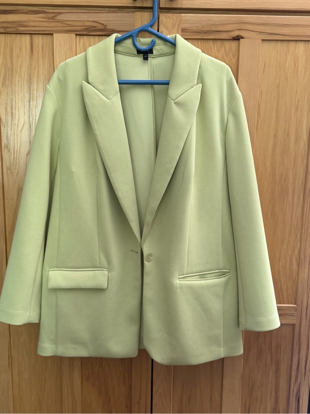 Express Pastel Green Single-Button Blazer Jacket